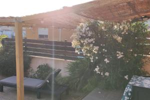 Maisons de vacances Tiny house avec piscine a Figari : Maison 1 Chambre