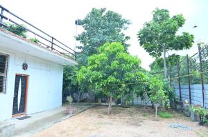 Saddharma Homestay Hampi