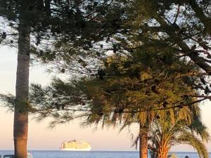 Appartements Cannes Terrace Beach Front & Sea view : photos des chambres