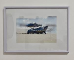 Διαμονή σε ζακυνθινό καντούνι