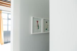 Greenhouse by Costanza