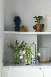 Greenhouse by Costanza