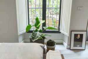 Greenhouse by Costanza