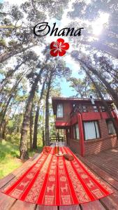 Ohanamarazul en el Bosque