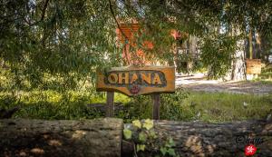 Ohanamarazul en el Bosque