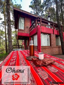 Ohanamarazul en el Bosque