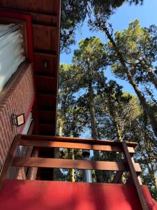 Ohanamarazul en el Bosque