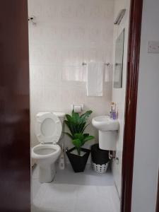 Kilimanjaro Rehema 3BR with power backup