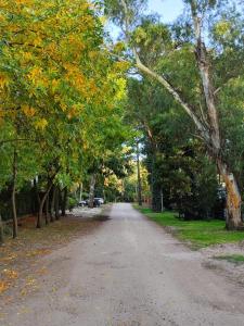 La Feliz Casa&Bosque