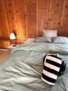 Wohnung im Herzen von Davos nähe Kongresszentrum