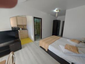 Apartament La Manastire