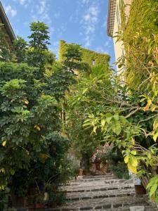 Appartements Biot - Place des Arcades : photos des chambres