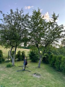 Noclegi Centrum Fiszer