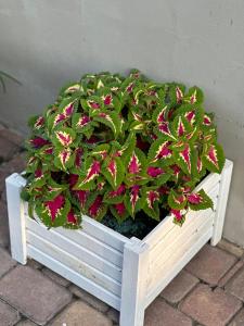 Noclegi Centrum Fiszer