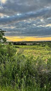 Appartements Aloha Studio &SPA en bordure de garrigue : photos des chambres