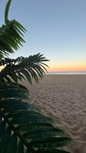 Appartements Aloha Studio &SPA en bordure de garrigue : photos des chambres