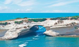 Guest House Civico 16 img19