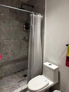 Bonito y céntrico departamento en Colonia Roma con gimnasio