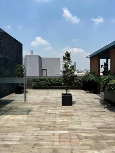 Bonito y céntrico departamento en Colonia Roma con gimnasio