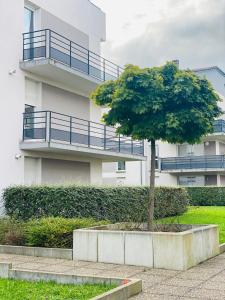 Appartements Les aventures de Madame Bretzel : photos des chambres