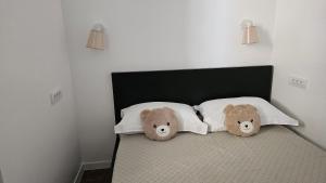 Apartment Teddy stari Grad