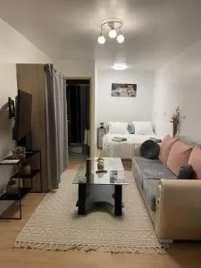 Studio 28m - Villard-Saint-Sauveur