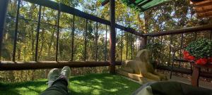 Boresta House -Santa Elena con vista al Bosque y terraza privada