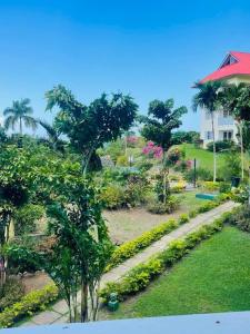 Ocho Rios Retreat