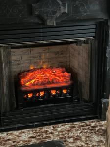 ENTIRE Big Family Home Close To Zoo and Events - Private Patio and Firepit