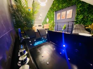 Appartements Saphir Spa - Sauna Balneo Chromotherapie Massage : photos des chambres