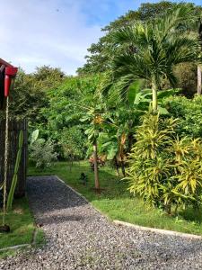 La Pepita de Cambutal