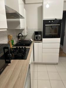 Appartements Le Cosy raffine : photos des chambres