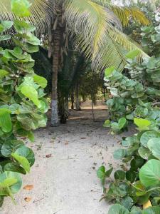 Casa EL VELERO Ecolodge, Palomino Guajira Colombia