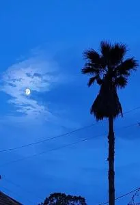 A little piece of Paradise! - 文顿