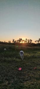Flor da Aldeia Eco Hospedaria