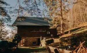 Mountain Lodge Azzy, surrounded by Ultimate Peace! - Lidetschko