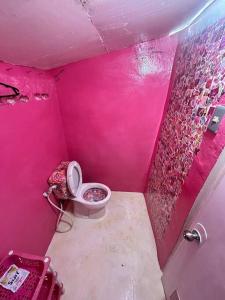 Little Pink Palace, near CWC