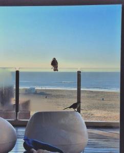 Departamento frente al mar