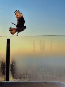 Departamento frente al mar