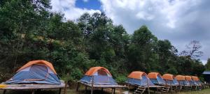 Paradise Tent Stay Vattavada Munnar