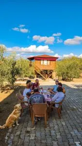 Oli Camping & Bungalows - Dereçiflik