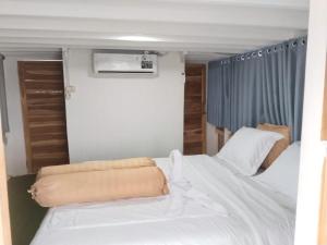 Komodo live a board Cruise