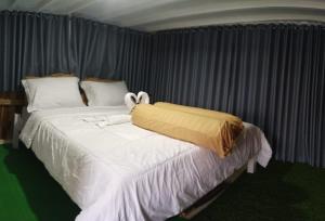 Komodo live a board Cruise