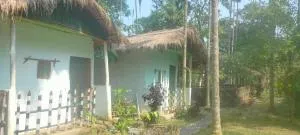 Tranquil Bambusic Bliss - Bokakhat