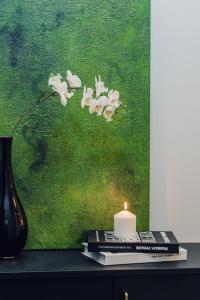 JS暁宅-水雲 mizuun