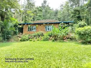 The Dream - Kenchamman Hoskota