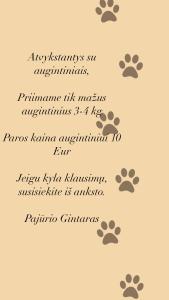 Pajūrio Gintaro apartamentai