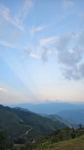 Panakluea at Kokuang Homestay