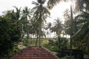 ReOcean Daaffy - Beach House