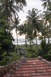 ReOcean Daaffy - Beach House